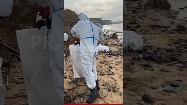 Нижегородские волонтёры приехали чистить от мазута Чёрное море