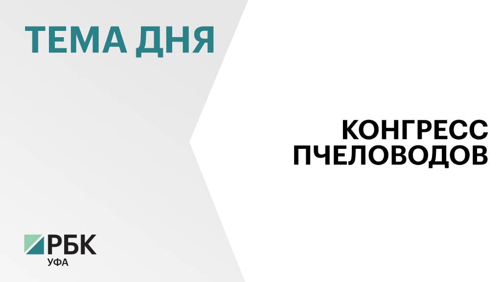 В Башкортостане в 2 раза увеличат ставку субсидии за содержание пчелосемей до ₽2 тыс.