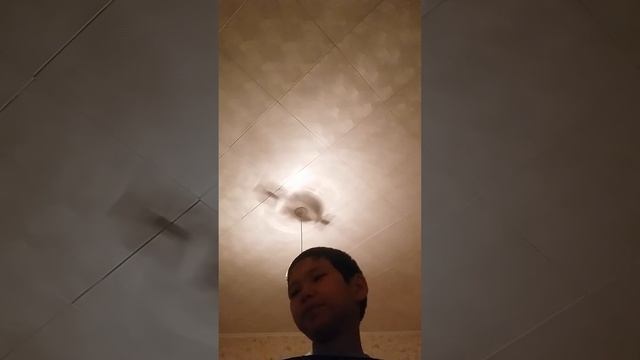 Тимати биббокс