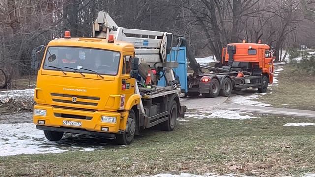 Демонтаж дерева Метро Кунцевская