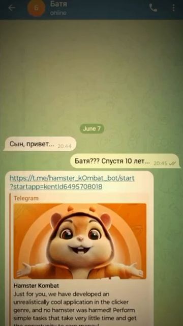 Ох уж эти хомяки