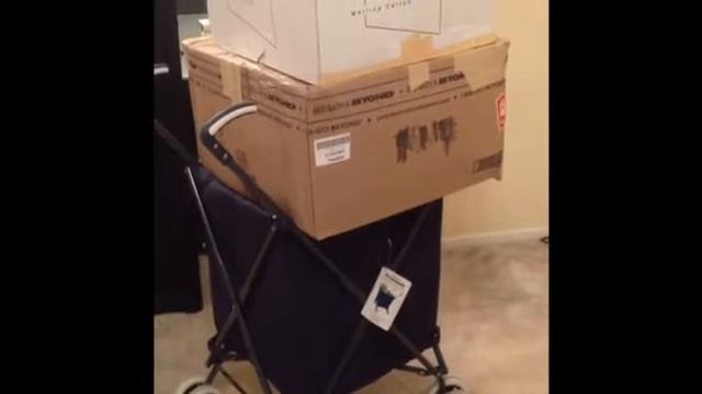 VersaCart Transit Review Produced by @fancienanc