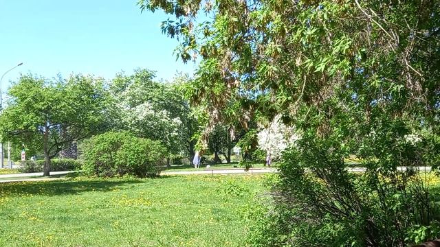 Шумная жизнь площади Гайдара.
