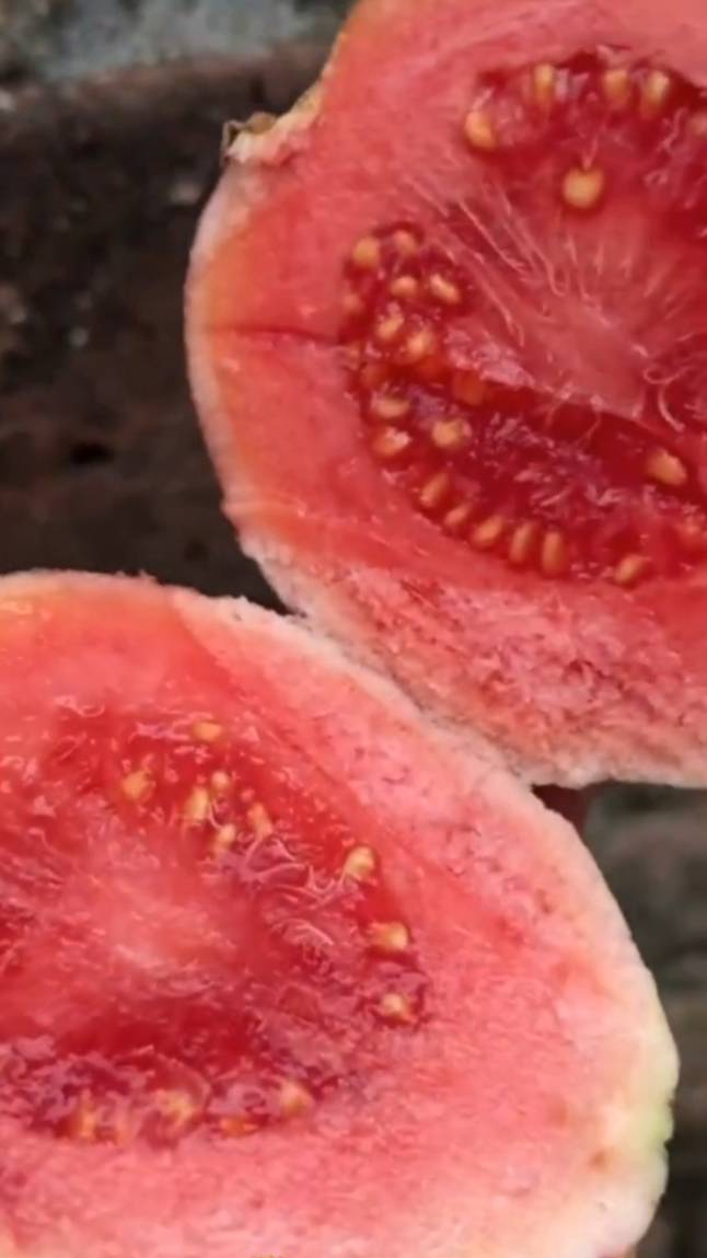 🥭ГУАВА (тропический фрукт). #shorts #гуава