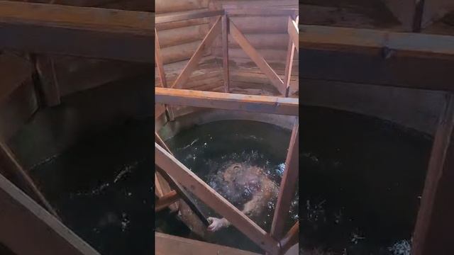 VID-20250119-WA0008.mp4