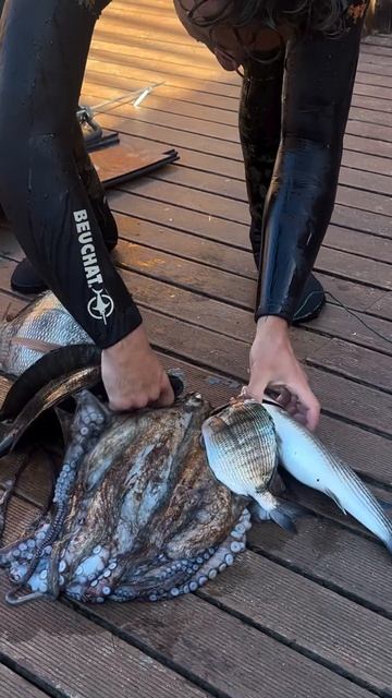 Приятный улов