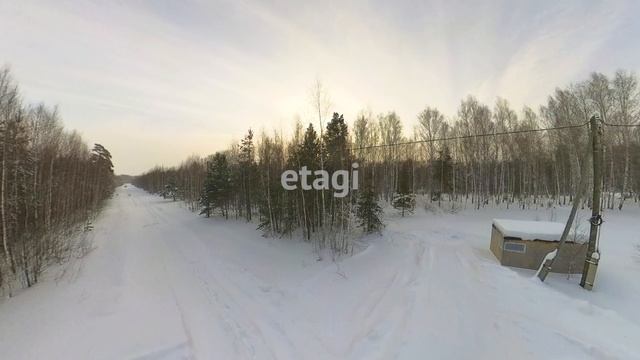 4395517