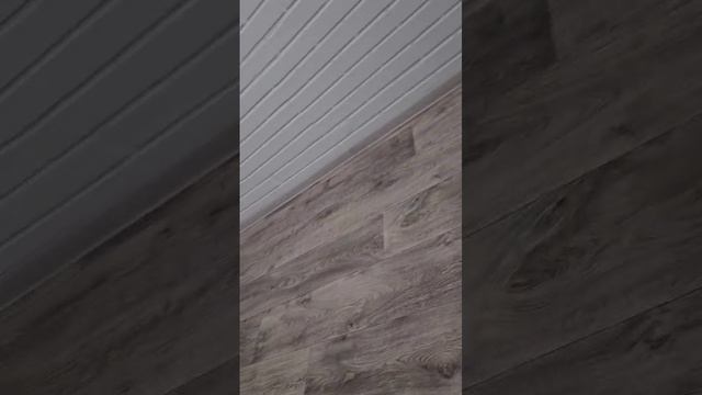 1000338479.mp4