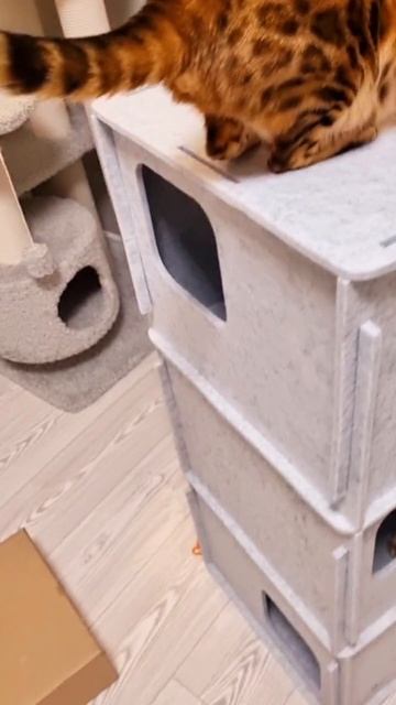 новый комплекс