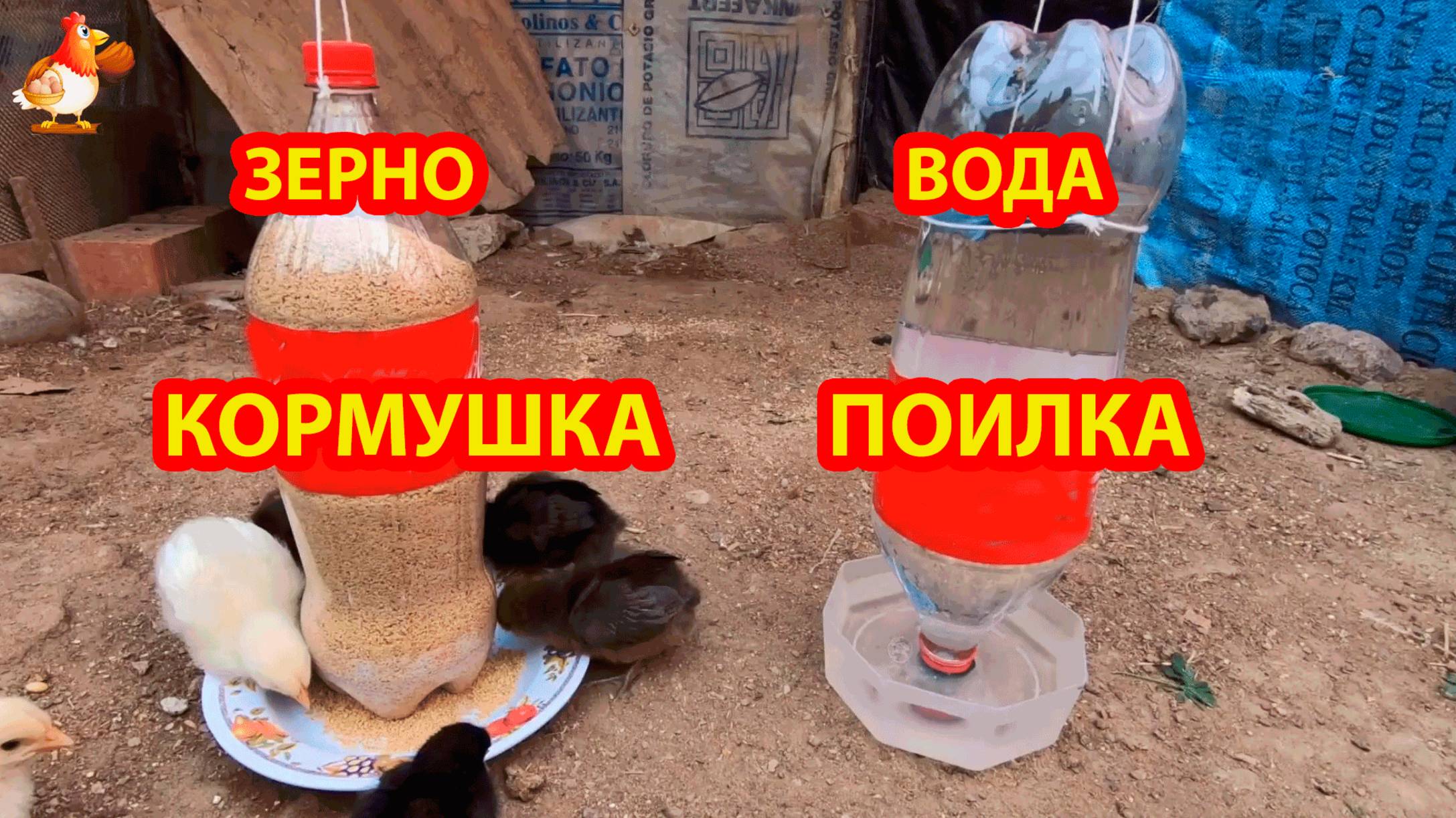 Кормушка и поилка цыплятам подвесные из 2 л бутылок и тарелочек 🪚🪛🔨