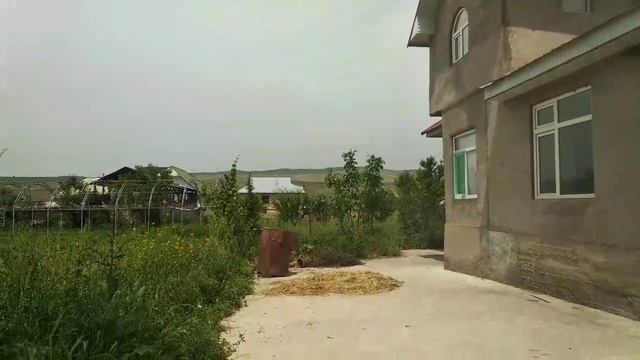 Без комментарий✅. Айылда Жаз...