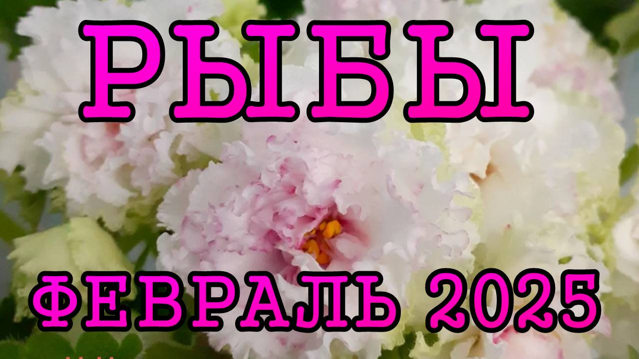 РЫБЫ таро прогноз на ФЕВРАЛЬ 2025 года.