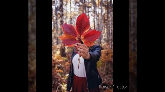 Вернись оранжевое лето