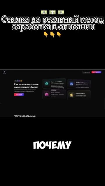 Zorvex- разбор проекта