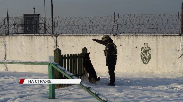 Каждый день они рискуют своими жизнями, чтобы обеспечить безопасность людей
