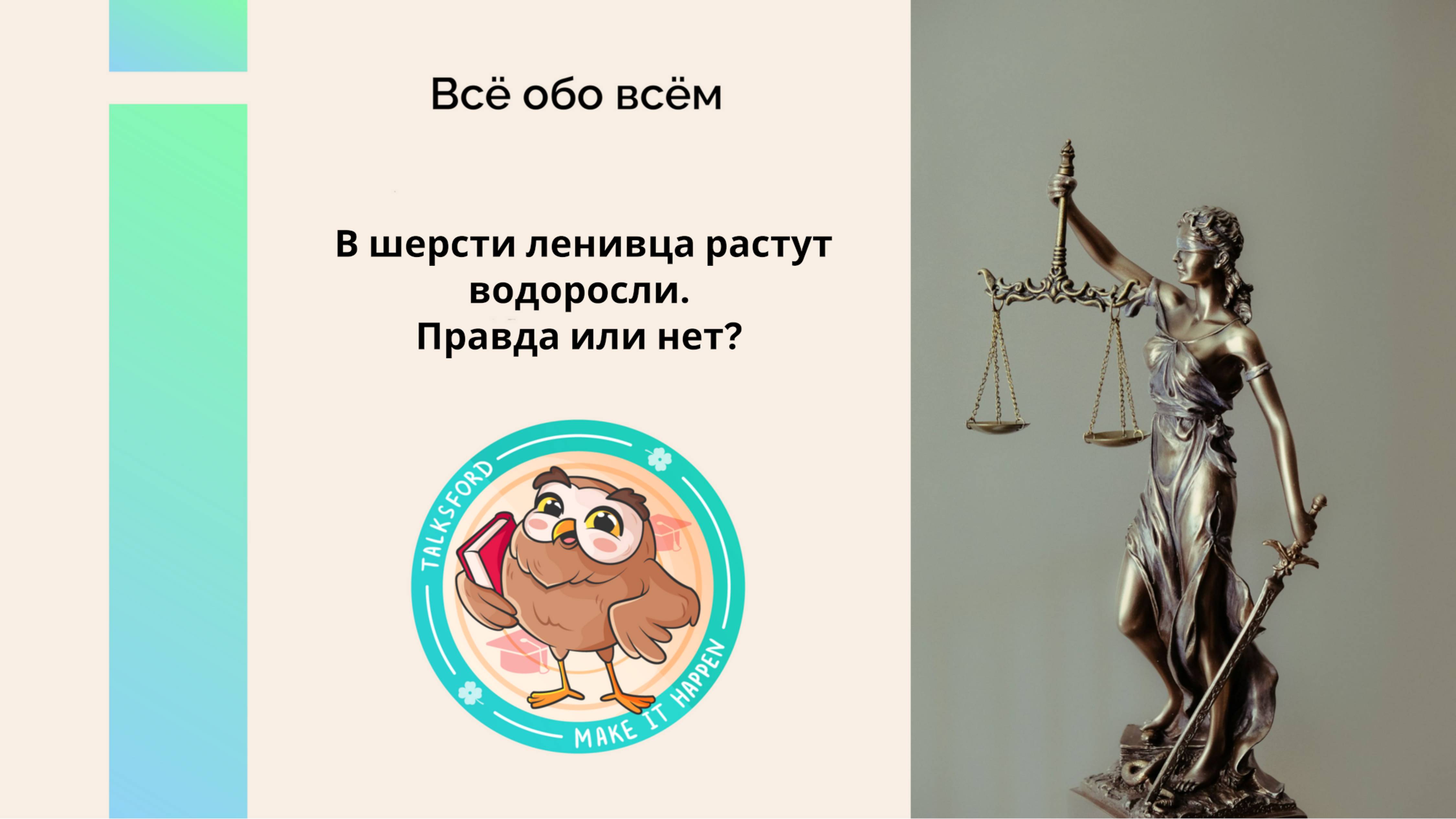 Всё обо всем // В шерсти ленивца растут водоросли: правда или нет? // Познавательные факты