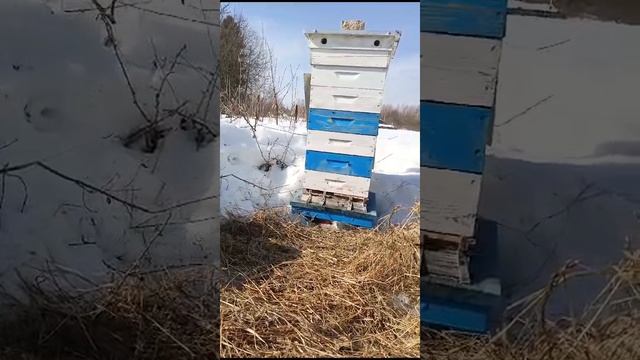 Первый облëт