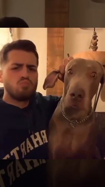 1000072184.mp4