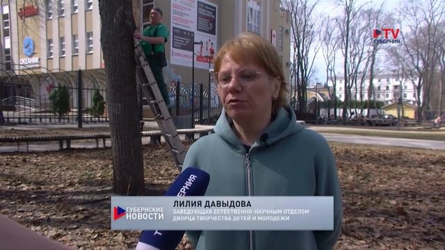 В Воронеже к Международному дню птиц развесили скворечники в парке «Орлёнок»
