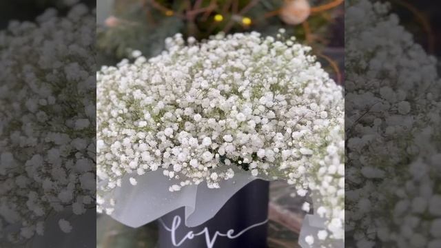 688631645_AQPI_tqWuUFQRZWM7_YFcBPUgIXRBs_FoG89NCG4LY3GlmwrRlHewn (1)