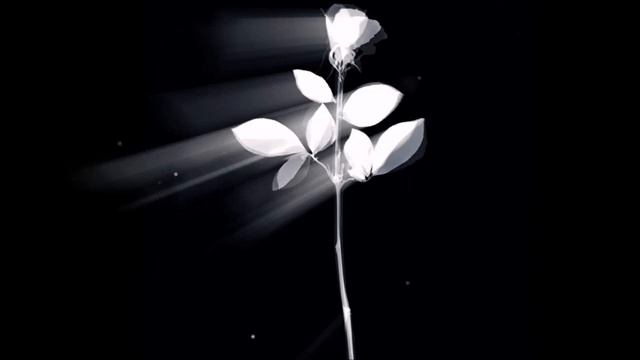 1000094676.mp4