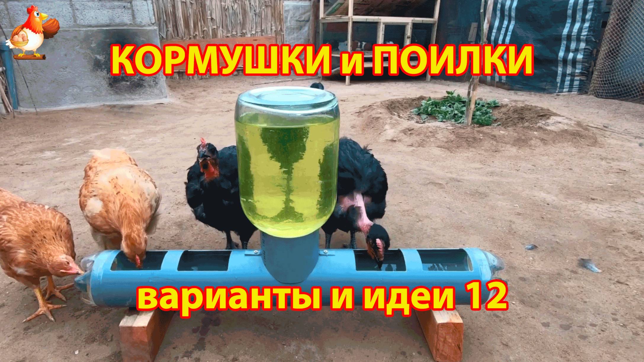 Кормушки и поилки для кур своими руками идеи и варианты (12)