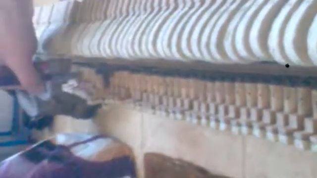 Removing of dust from piano. Чистка молоточков пианино при помощи малярных кистей