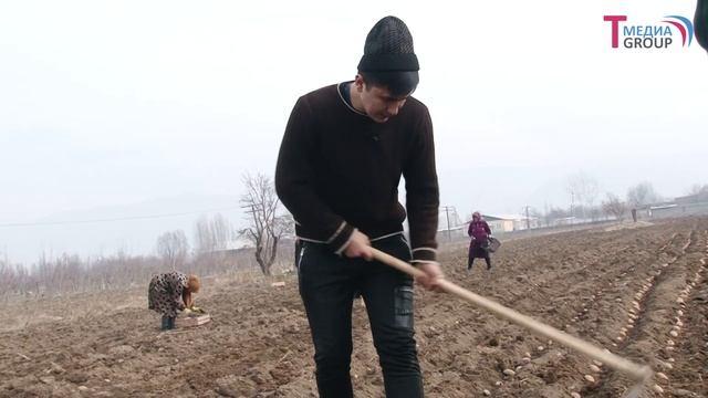 Араванда жазгы талаа иштери башталды