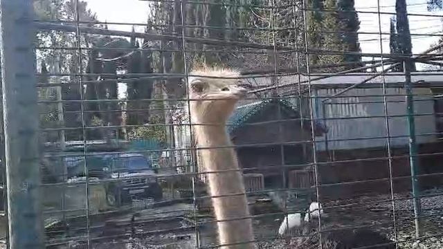 Счастье живет рядом с нами
