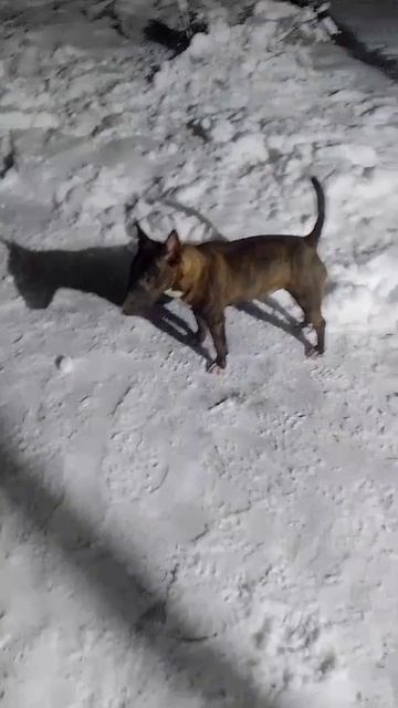 1000032318.mp4