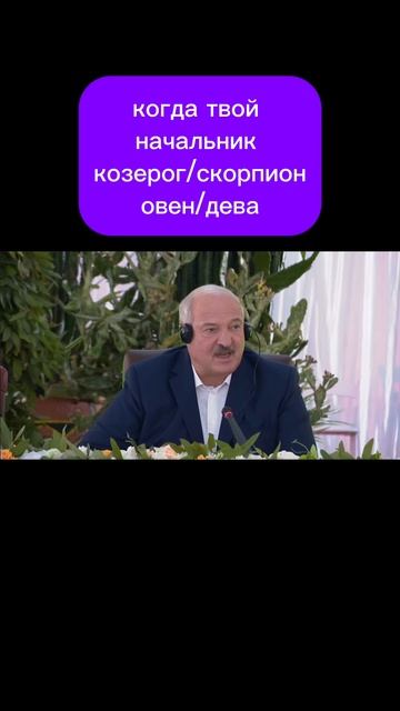 А кто ваш начальник по знаку зодиака?)