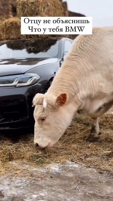 BMW  как сельхозтехника