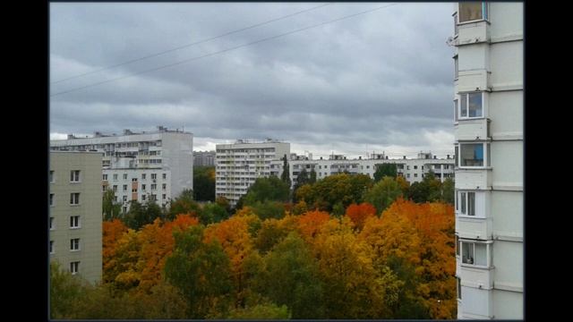 Краски осени. Композ., аранж., авт. фото Ю. Кучмаева
