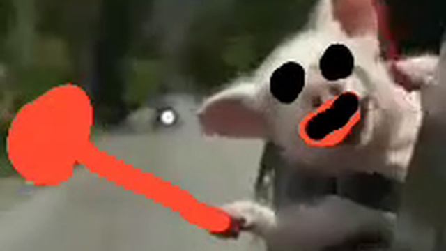 VID-20250111-WA0001.mp4