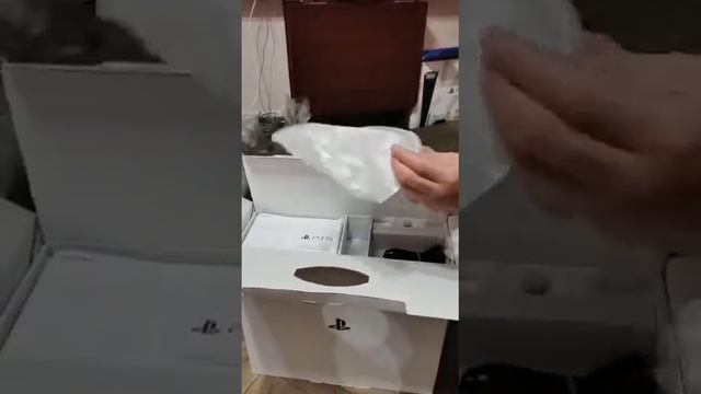 Sony PlayStation 5