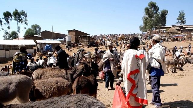 Stompy Elephant Films - Ethiopia: Lalibela Adventure