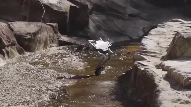 На видео один из наших будущих повелителей выпендривается 👀😁  Кожаные мешки скоро поплатятся за вс