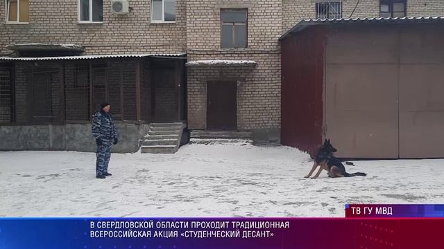 Алапаевск студенческий десант