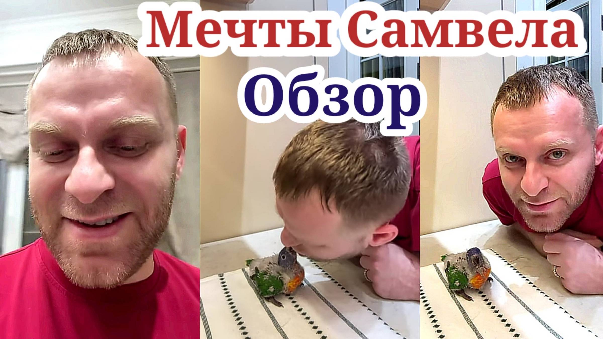 ОБЗОР- Мечтать не вредно- Самвел Адамян