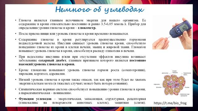 Углеводы для ЕГЭ/ОГЭ по биологии