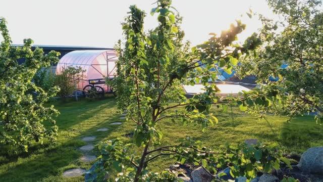 Наша дача. Июнь 2024. Лето.