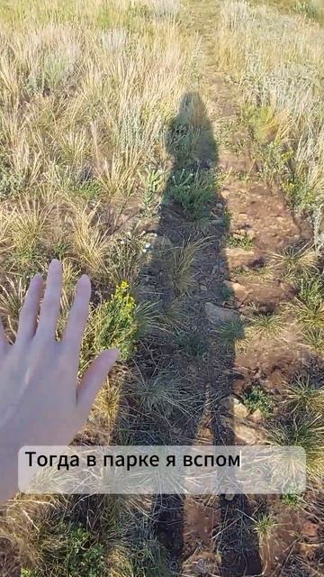 Всем привет! Рада видеть Вас здесь  Ссылки на магазин озон и группу вк в шапке профиля