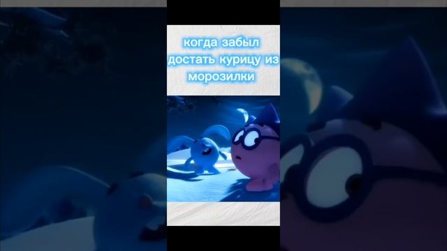 Смешарики мемы