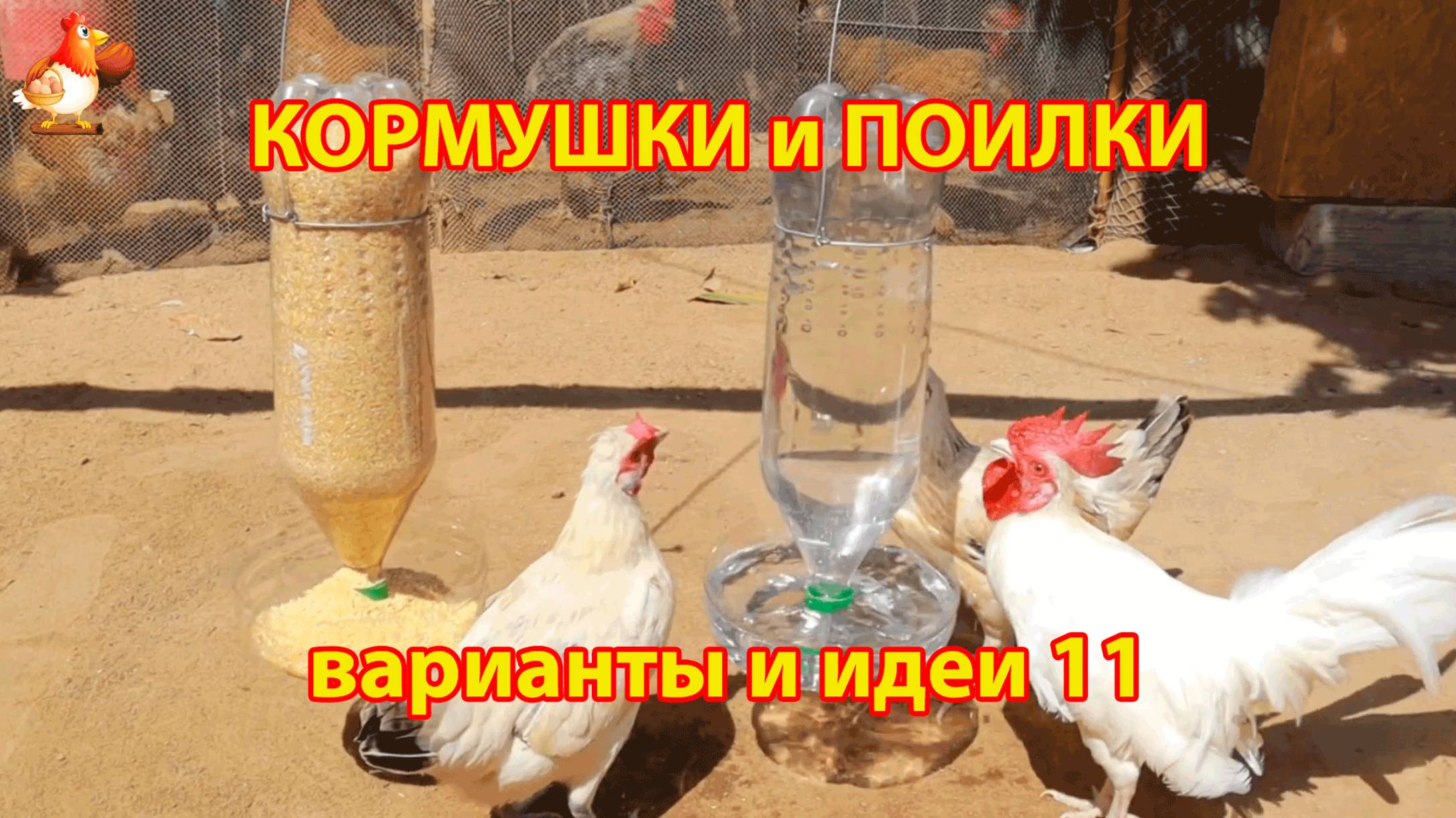 Кормушки и поилки для кур своими руками идеи и варианты (11)