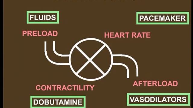 Clinical challenge in the ICU – identification and monitoring JLVinsent 2018