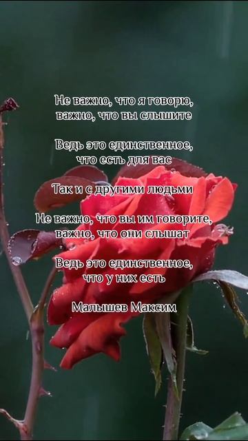 Прочитайте это ещё раз #психология #философия #саморазвитие #общение #шортс