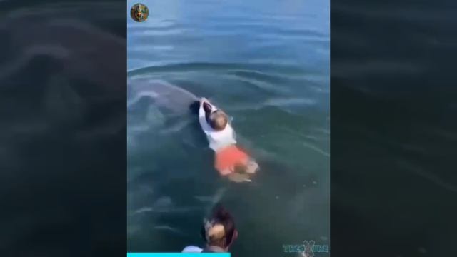На воде не так уж и безопасно 🤔