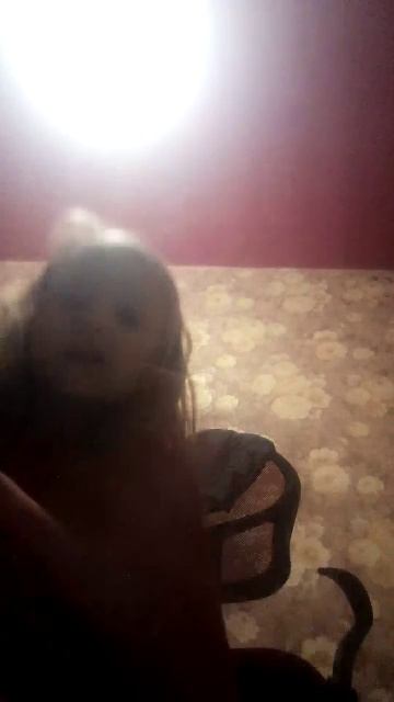 Оатадывлвтадуоаоапдпьплпдеалаоаоеоплплплпококкоо