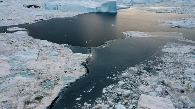 8318618-uhd_2560_1440_25fps