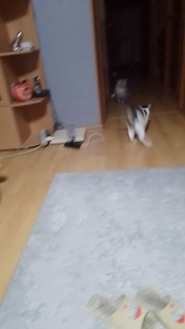 1000012338.mp4